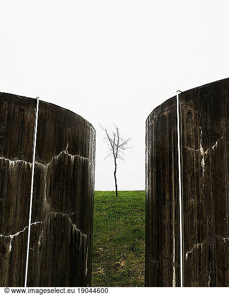 Concrete water tanks with a bare tree in the background.