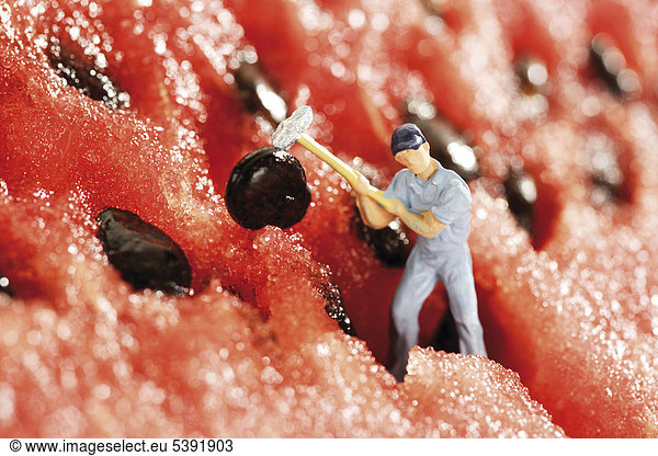 Construction worker figurine placed in a watermelon  removing the seeds