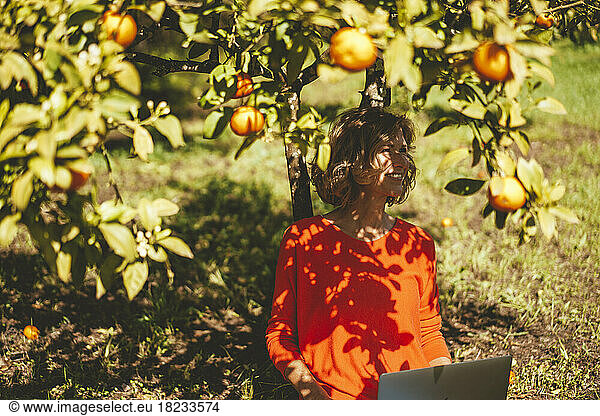 Contemplative woman sitting with laptop under orange tree on sunny day
