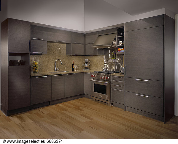 Contemporary Kitchen Interior