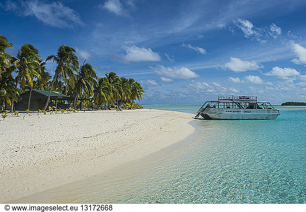 Cook Islands  Rarotonga  Aitutaki lagoon  white sand beach and palm beach