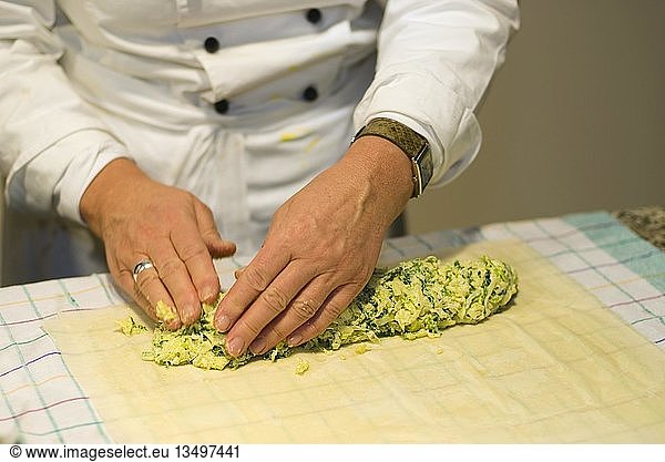Cooking course  making a savoy cabbage strudel  forming the strudel  Germany  Europe