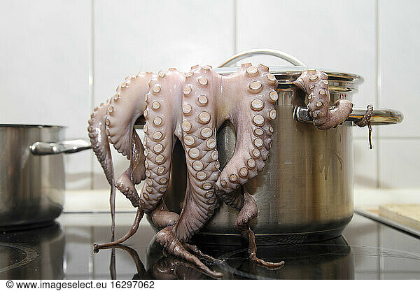Cooking octopus in vessel