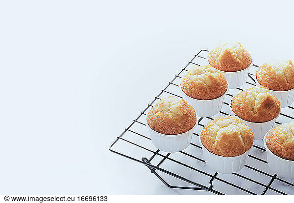 Cooling rack with muffins. Copy space on white background
