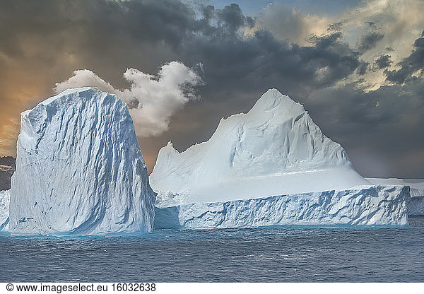 Cooper Bay  Floating Icebergs  South Georgia  South Georgia and the Sandwich Islands  Antarctica  Polar Regions