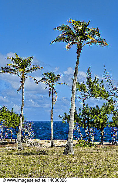 Corbens Bay with view to Atlantic Ocean