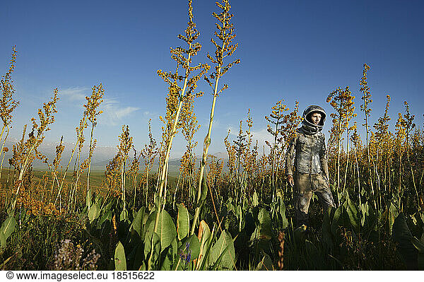 Cosmonaut wearing space suit amidst plants on field