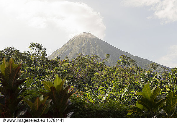 Costa Rica  Alajuela Province  La Fortuna  Forest in front of Arenal Volcano