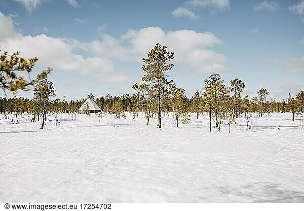 Cottage amidst trees on snow during winter