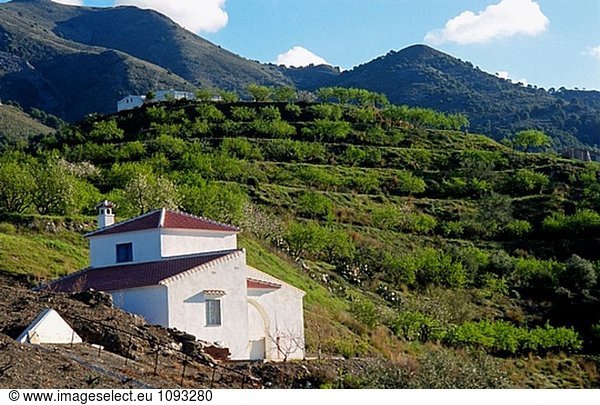 Cottage und Mandeln Grove  Axarquía. Provinz Málaga  Spanien
