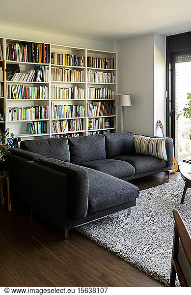Couch and bookshelf in cozy living room