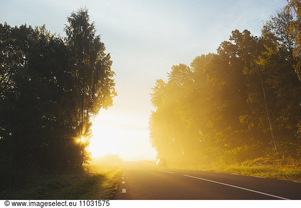 Country road at morning