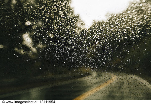 Country road during rainy season