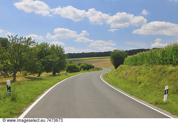Country Road in Summer  Butthard  Wurzburg District  Franconia  Bavaria  Germany