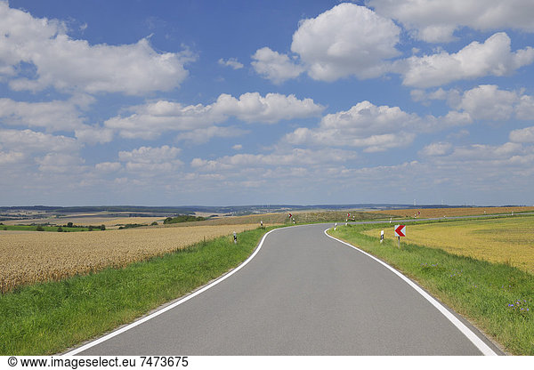Country Road in Summer  Butthard  Wurzburg District  Franconia  Bavaria  Germany