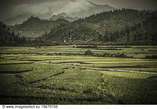 Countryside of Hubei province  China.
