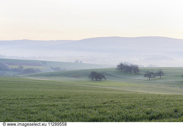 Countryside on Misty Morning at Dawn  Monchberg  Spessart  Bavaria  Germany