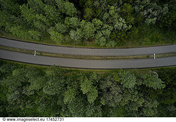 Countryside road in green forest
