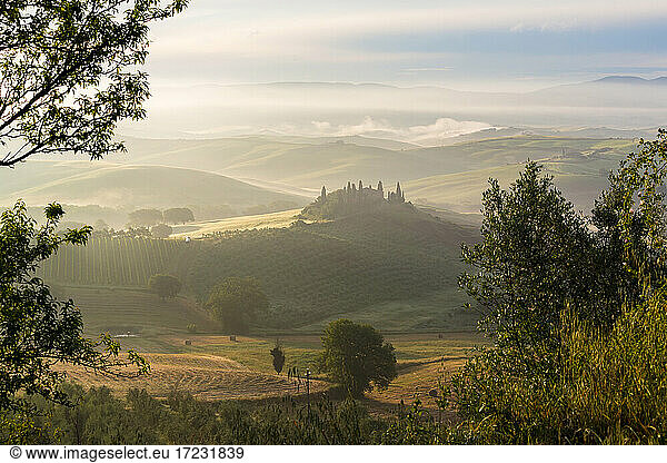 Countryside view  vineyards in Tuscany