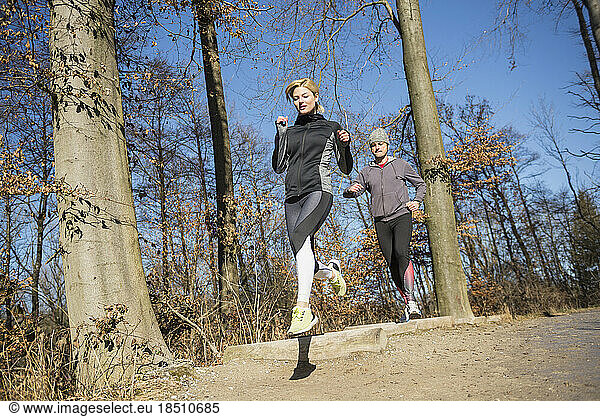 Couple doing training at obstacle course in nature