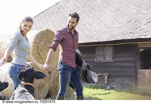 Couple holding hands walking with saddle and dogs outside barn