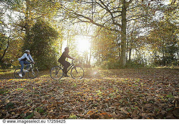 Couple riding bicycles in autumn leaves in sunny sunny park