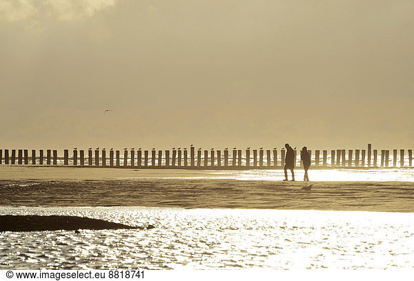 Couple walking in front of groynes, in backlight, Wangerooge, East Frisian Islands, East Frisia, Lower Saxony, Germany