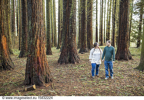 couple walking through forest  holding hands.
