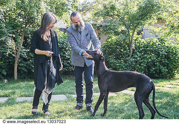 Couple with pet dog in garden