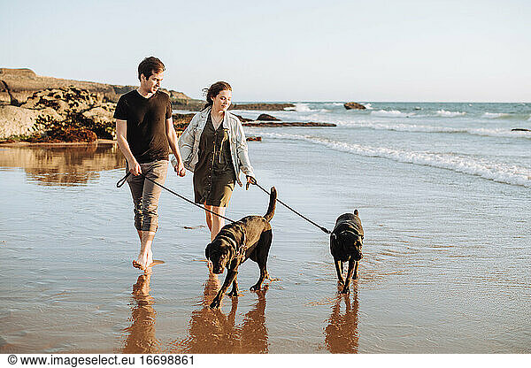 Couple with two dogs holding hands while walking at beach with dogs