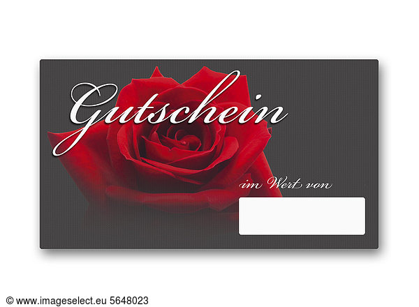 Coupon card with red rose against white background  close up