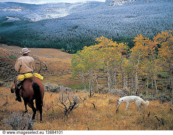 Cowboy and Dog  Big Horn Mountain