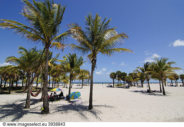 Crandon Park  Key Biscayne  Miami  Florida  USA
