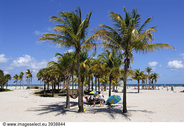 Crandon Park  Key Biscayne  Miami  Florida  USA