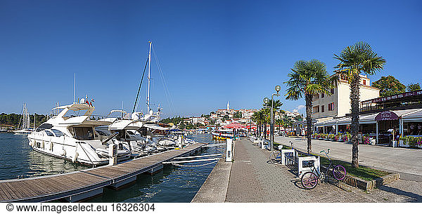Croatia  Istria  Vrsar  harbour