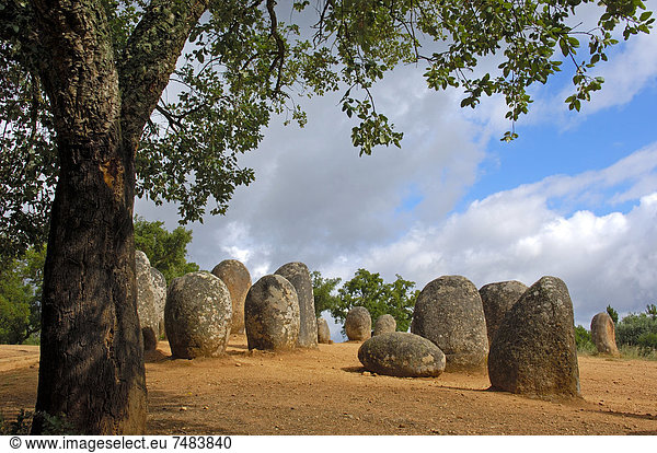 Cromeleque dos Almendres  megalithischer Steinkreis  _vora  Alentejo  Portugal  Europa