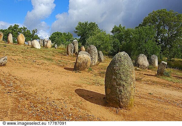 Cromlech von Almendres  Menhir  Evora  Alentejo  Cromeleque dos Almendres  Monolith  Monolithen  Portugal  Europa