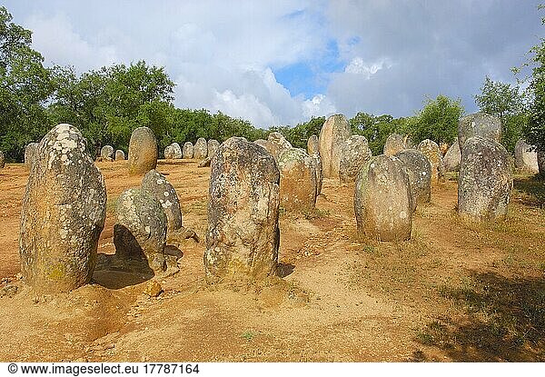 Cromlech von Almendres  Menhir  Evora  Alentejo  Cromeleque dos Almendres  Monolith  Monolithen  Portugal  Europa