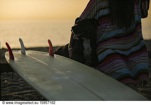 Crop view of young woman sitting on the beach with her dog and her surfboard at sunset  Almeria  Spain