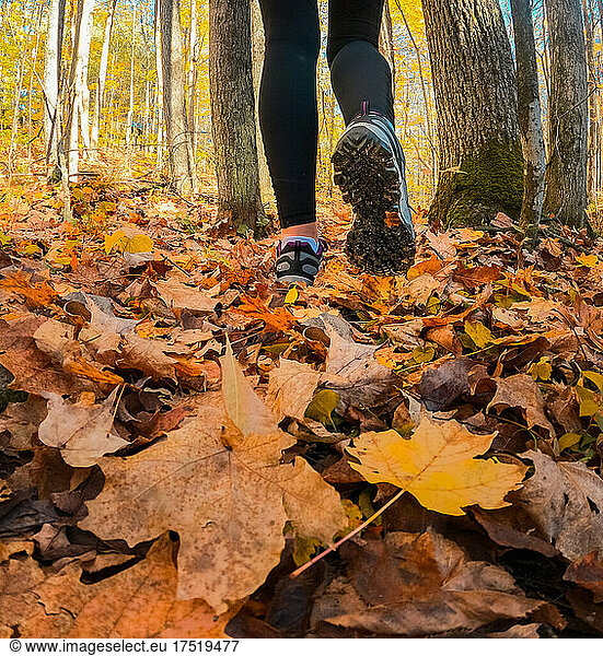 Cropped close up of a woman's legs on a leafy hiking trail.