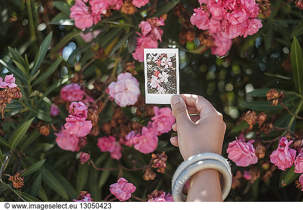 Cropped hand of woman holding instant print transfer against flowers in park