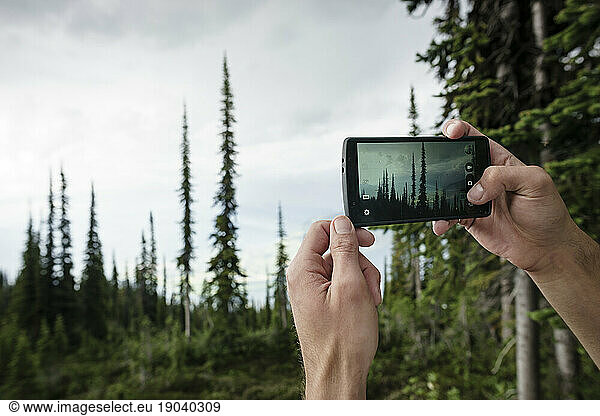 Cropped hands photographing forest through smartphone  BC  Canada