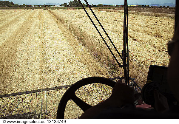 Cropped image of farmer driving combine harvester on wheat field