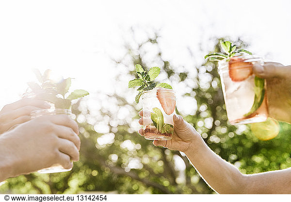Cropped image of friends toasting mojito glasses at yard