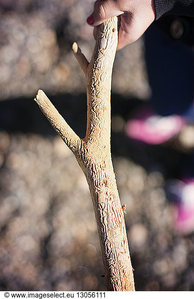 Cropped image of hand holding stick