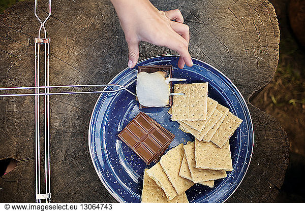 Cropped image of hands preparing smores during summer camp