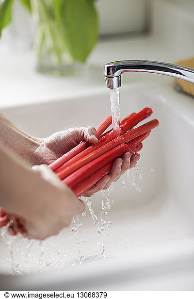 Cropped image of hands washing rhubarb