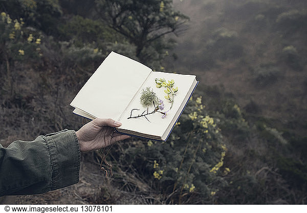 Cropped image of woman holding book with flowers over cliff