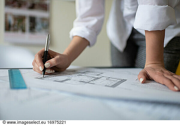 Cropped interior designer drawing blueprint