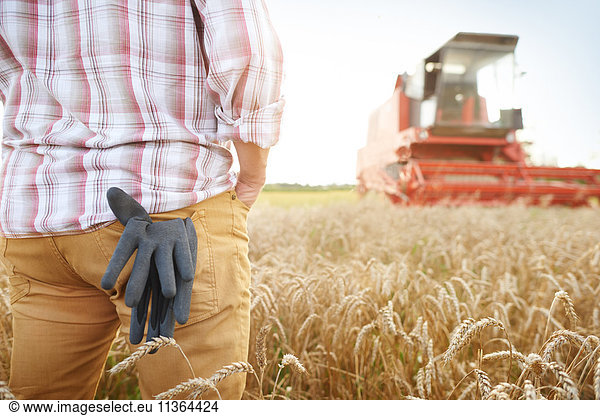 Cropped rear view of farmer in wheat field looking at combine harvester